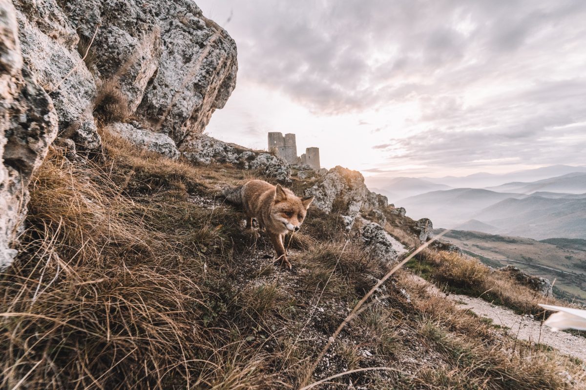 Un viaggio virtuale in Abruzzo