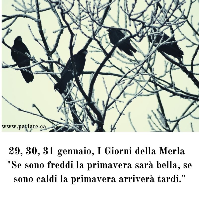 The Days of the Blackbird-Italian legend | I Giorni della Merla